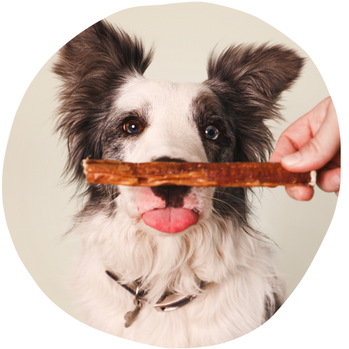 Bully Stick · render