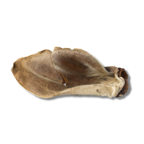 Oreja de Res