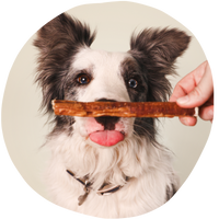 Bully Stick