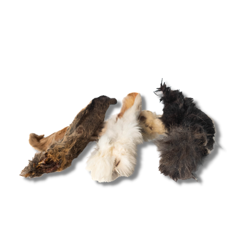 Orejas de Conejo