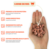 Chunks Carne de Res