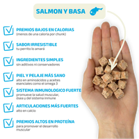 Chunks de Salmón
