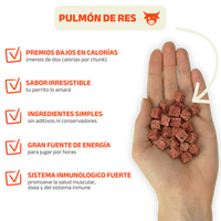 Chunks de Pulmón