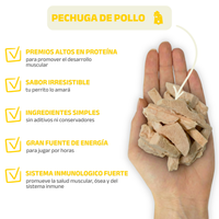 Pechuga de Pollo